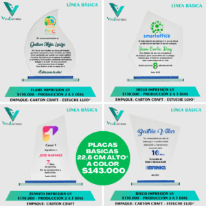 Placas de reconocimiento básicas a color 1