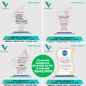 Placas de reconocimiento básicas a color 2