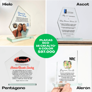 Placas de reconocimiento ecológicas a color