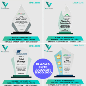Placas de reconocimiento elite a color