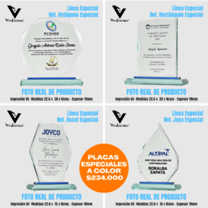 Placas de reconocimiento especiales a color 2