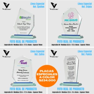 Placas de reconocimiento especiales a color 1