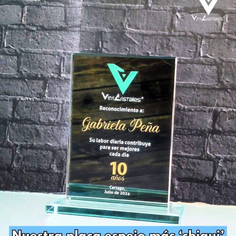 placa de reconocimiento en espejo