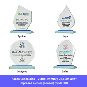 Placas de reconocimiento especiales